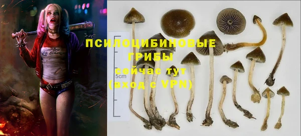 МДМА Коряжма
