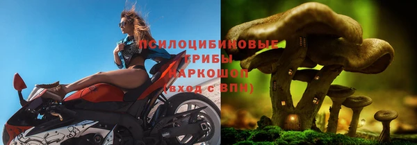 spice Костерёво