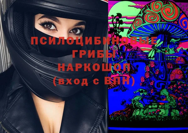spice Костерёво