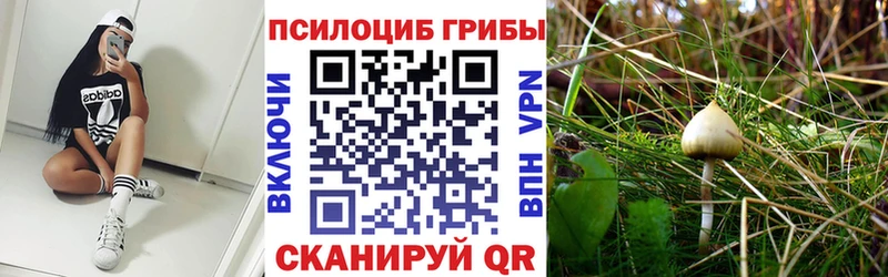 Галлюциногенные грибы Cubensis  Купить  Афипский 